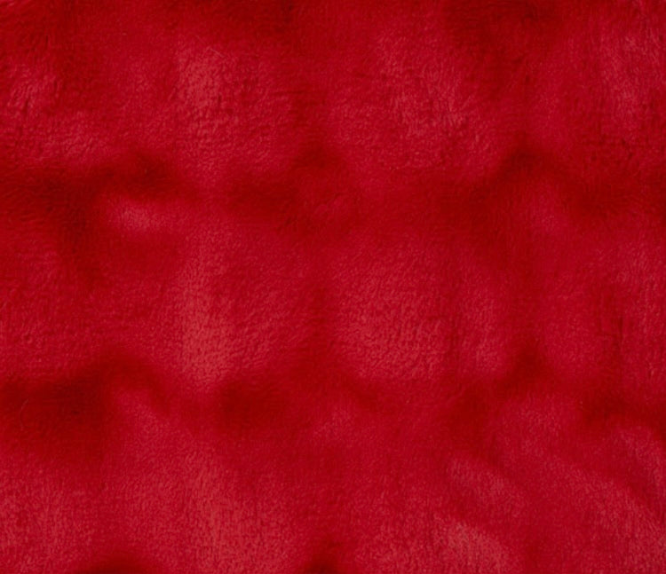 Powderpuff Minky Blanket
