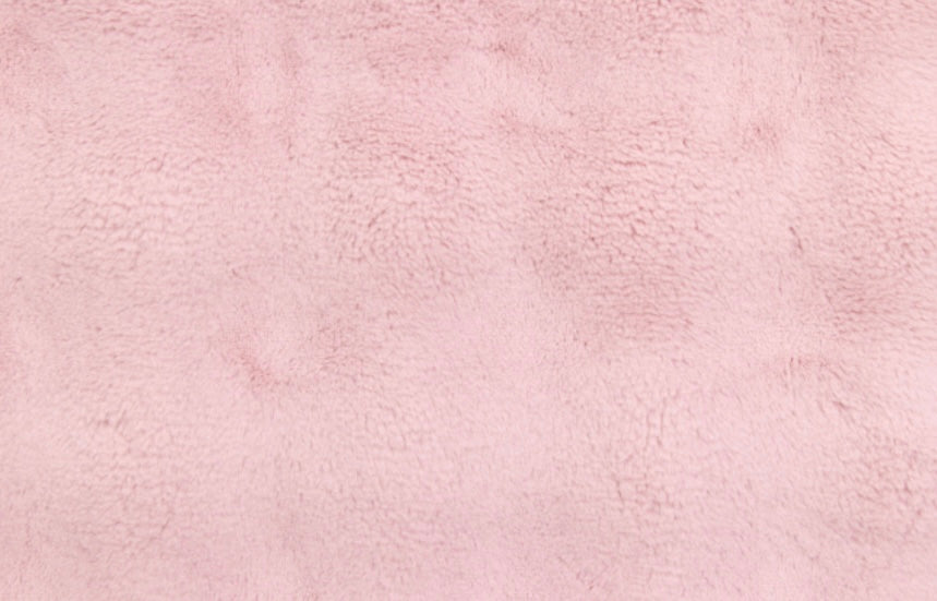 Powderpuff Minky Blanket