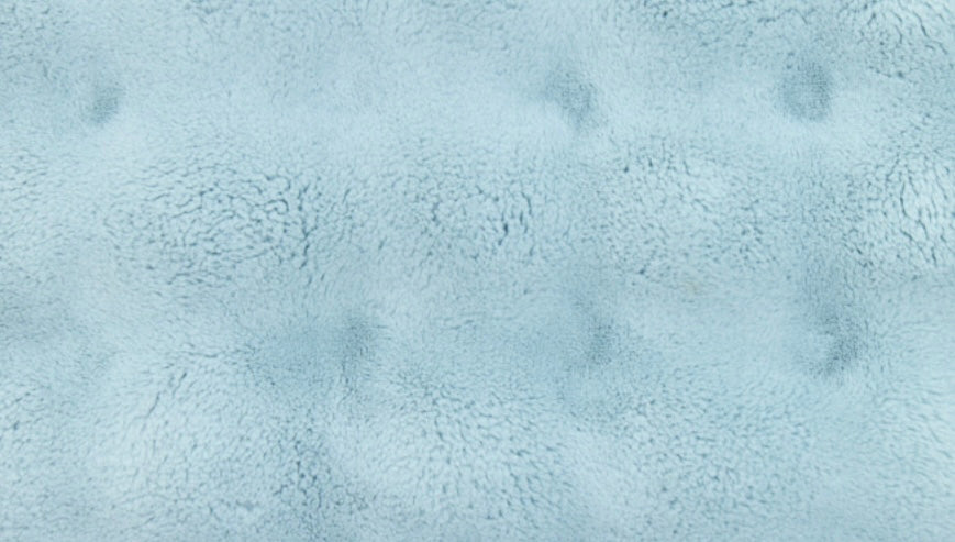 Powderpuff Minky Blanket